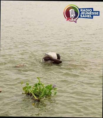 nombreux sont des jeunes venus des provinces du Tchad qui occupent la berge du fleuve Chari pendant la période de décrue, un fleuve séparant la capitale N’Djamena en deux. Apres avoir extrait du sable au fond de ce fleuve, il faudra au moins deux à quatre heures du temps pour le faire sécher au soleil. Il faut ensuite le transporter, toujours dans les sacs pour exposer à proximité de grandes voies pour la vente.