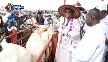 Pays enclavé, le Mali a une économie qui repose sur quelques secteurs dont l’élevage. Selon le gouvernement, celui-ci représente 19% du PIB et 25 à 30% de la production du secteur rural. En plus, il procure au pays 15% de ses recettes d’exportation. Fort d’un tel apport, le cheptel malien constitue le 3e produit d’exportation après l’or et le coton, a indiqué le Premier Ministre en procédant au lancement officiel de la campagne de vaccination 2023-2024.