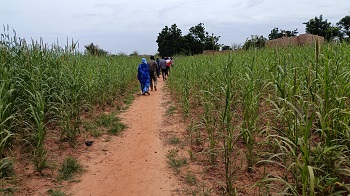 Débutée à Ouagadougou le 14 septembre 2023, la campagne de chimio prévention du paludisme saisonnier (CPS+) s’est poursuivie à Ziniaré le 15 septembre 2023, région du Plateau-Central. Le ministre de la Santé et de l’Hygiène Publique, Robert Lucien Jean Claude Kargougou a effectué le déplacement de Ziniaré pour encourager le personnel et surtout inviter la population à adhérer à la campagne.