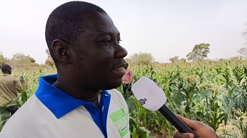 C’est sur une superficie de trois hectares (3ha) que Drissa Ouédraogo pratique depuis quelques années la maraîcher-culture. Son champ offre une belle vue. Le temps est adoucissant avec l’air frais malgré la chaleur accablante du mois de mars 2024. Drissa Ouédraogo parle de son activité avec beaucoup de passion